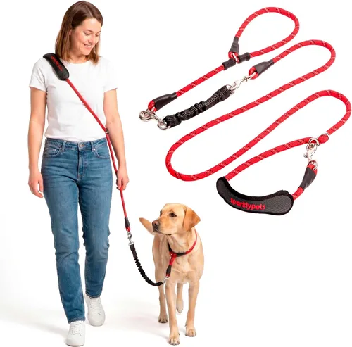 Miniatura 11 de Correa doble premium para dos perros, absorción de golpes, antitirón, doble correa para razas medianas y grandes con accesorio de correa doble