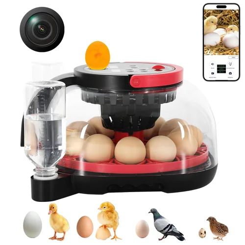Incubadora automática de huevos para 12 huevos de gallina con control de aplicación de cámara, monitor de temperatura y humedad, girador automático