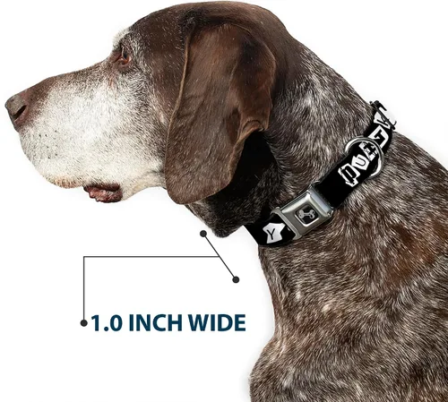 Miniatura 5 de Collar de perro hebilla de cinturón de seguridad punk you negro blanco 9 a 15 pulgadas 1.0 pulgadas ancho