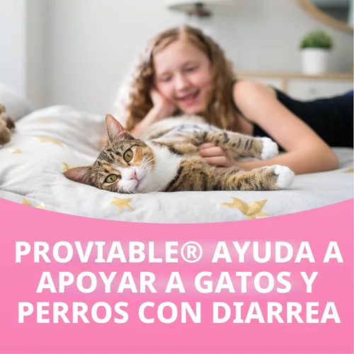 Miniatura 11 de Nutramax Probióticos proviables para perros y gatos pequeños, kit de apoyo para la diarrea, suplemento de salud digestiva con múltiples cepas