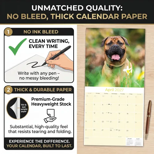 Miniatura 6 de Razas de Perros 2017 Bullmastiff