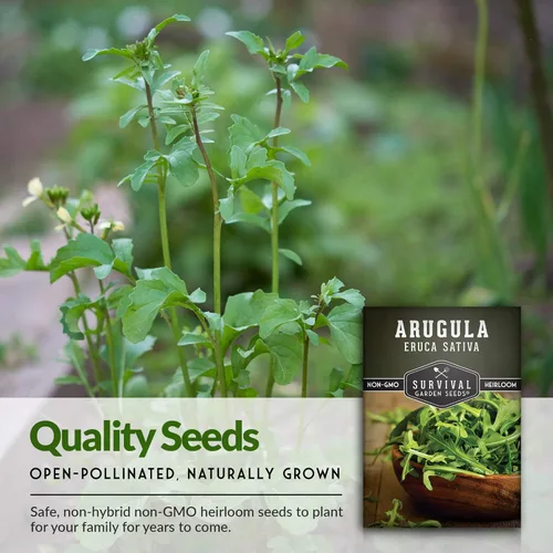 Miniatura 4 de Survival Garden Seeds - Semillas de rúcula para plantar - 2 paquetes con instrucciones para cultivar verduras de hoja verde cohete de jardín en tu