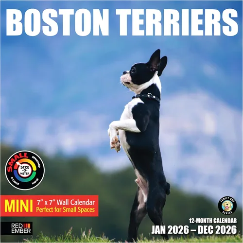 Miniatura 26 de RED EMBER Beagles - Calendario de pared 2025 de 12 meses, 12 x 24 pulgadas, abierto, papel grueso y resistente, para regalo, calendario 2025