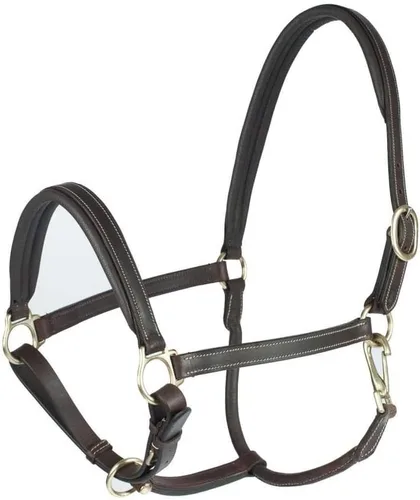 Miniatura 2 de HORZE Largo Cabestro Caballo de Cuero Genuino Noseband acolchado ajustable y corona Negro