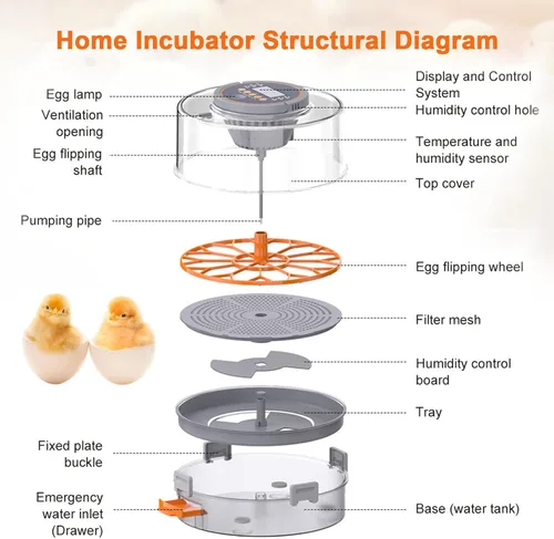 Miniatura 6 de 12 incubadoras de huevos para incubar huevos, incubadora de huevos con rotación automática de huevos, control de humedad y temperatura, vela
