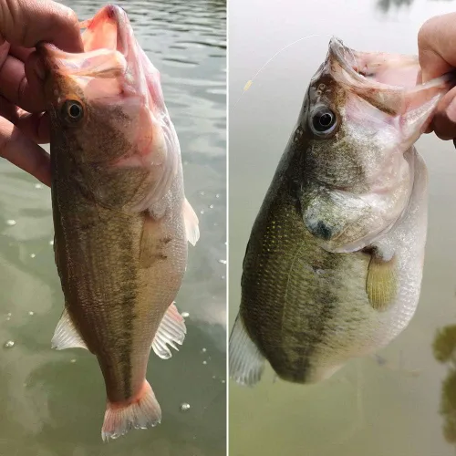 Miniatura 7 de Pesado-Swimbait-Hooks-Jig-Heads-Ganchos de pesca de gusano de plástico suave 3/0 4/0 5/0 paquete de 6