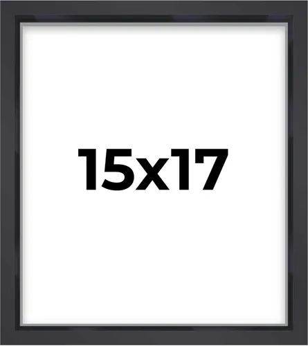 Miniatura 47 de Marco contemporáneo de caja de sombra negra de 14 x 25 pulgadas, profundidad de espacio utilizable, tamaño interior 14 x 25 o 25 x 14 pulgadas
