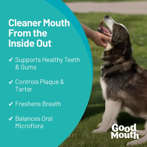 Miniatura 2 de Good Mouth - Masticables dentales para perros – Controla la placa y el sarro, promueve el aliento fresco, apoya la salud oral y las encías