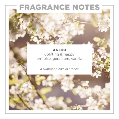 Miniatura 2 de Zents Eau de Parfum (Anjou) para mujeres y hombres Fragancia limpia de larga duración con Armoise, jazmín y geranio Aroma fresco y floral 1.69