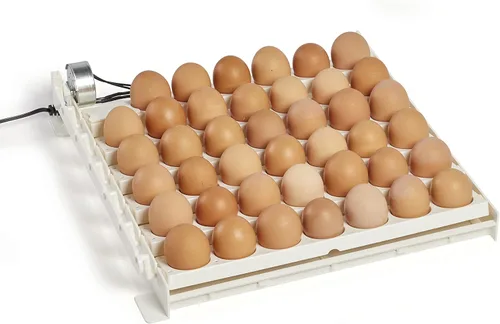 Farm Innovators 3200 - Girador automático de huevos de 41 puntos, elimina el manejo manual y mejora la tasa de eclosión
