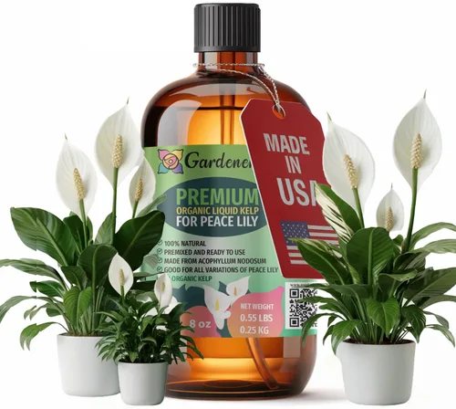 Miniatura 84 de GARDENERA Superalimento orgánico prémium de algas marinas y algas marinas para plantas AGLAONEMA, 8 onzas, concentrado de fertilizante líquido