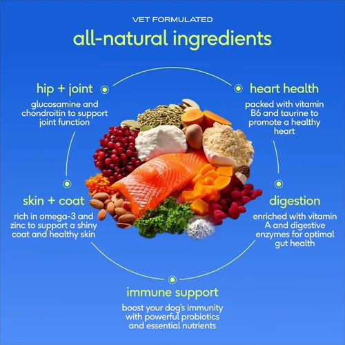 Miniatura 4 de Native Pet Vitaminas y Suplementos para Perros - Polvo de Vitaminas 11-en-1 para Complemento de Comida de Perro - Colágeno, Glucosamina