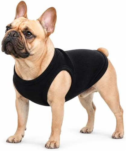 Miniatura 17 de Lovelonglong Ropa para mascotas de verano 2019, ropa para perro, camisetas en blanco, camisetas acanaladas, chalecos de hilo superior para perros
