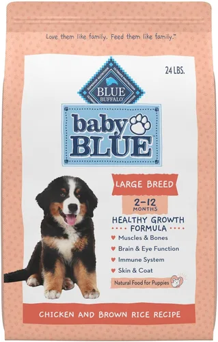 Blue Buffalo Baby Blue - Alimento seco natural para cachorros de raza grande, fórmula de crecimiento saludable con DHA, receta de pollo y arroz