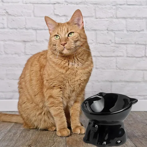 Miniatura 6 de Cuencos elevados de cerámica para gatos, 4 cuencos elevados extra anchos para gatos, plato poco profundo apto para alimentos y agua, antivómitos