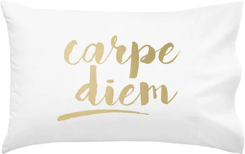 Miniatura 13 de Oh, Susannah Carpe Diem - Funda de almohada cursiva de 18 x 18 pulgadas, fundas de almohada inspiradoras doradas