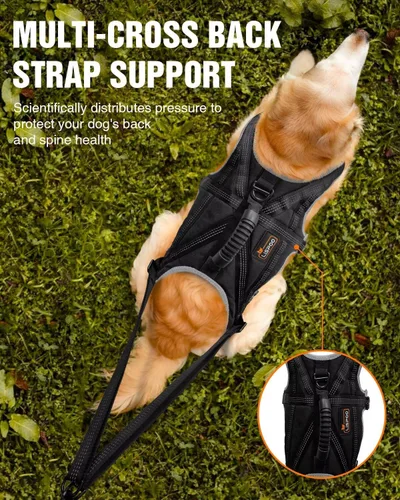 Miniatura 4 de Juego de arnés para correr para perros con cinturón y correa de absorción de golpes Hands-Free Control, Easy to Put On Design for Medium to Large