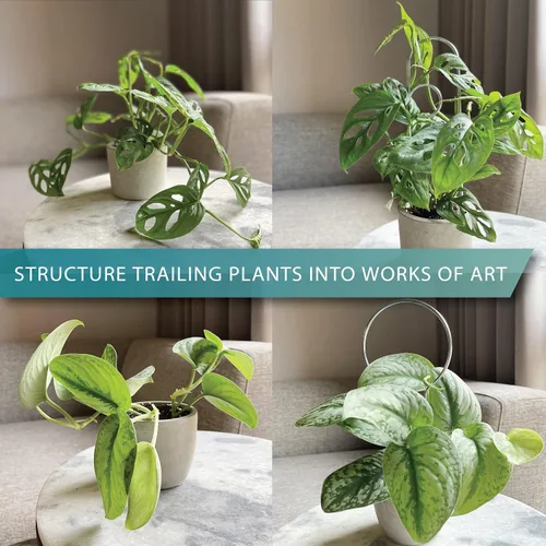 Miniatura 2 de Pequeño enrejado de metal para plantas de interior, estacas de metal para plantas trepadoras, soporte para plantas en maceta, orquídeas, Monstera