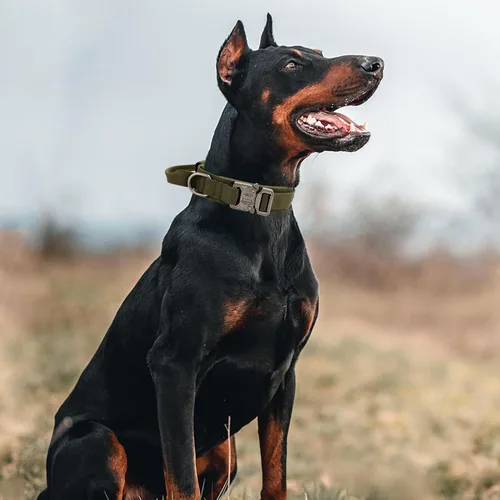 Miniatura 7 de Collar táctico para perro con asa - Collar militar ajustable de entrenamiento para perros de nailon suave y hebilla de metal resistente para perros