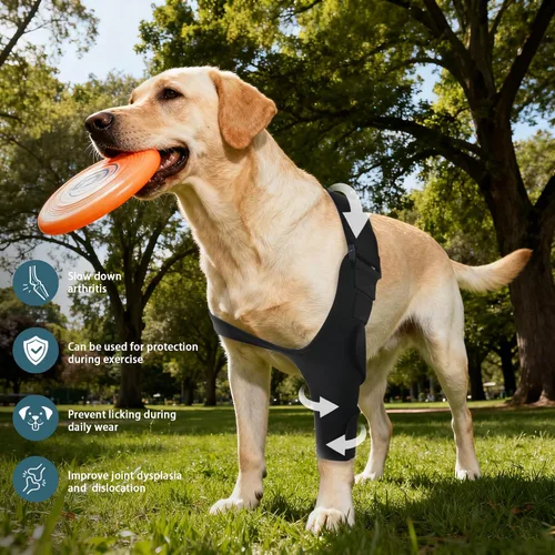 Miniatura 3 de Codera ajustable para perro con soporte de hombro, soporte de pierna delantera de perro para ligamentos desgarrados, artritis, rehabilitación Pierna