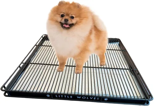 Little Wolves Bandeja para orinal para cachorros, 22 x 22 pulgadas, bandeja de entrenamiento resistente para cachorros y perros pequeños, fácil de