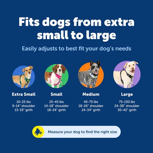 Miniatura 5 de PetSafe Easy Walk Comfort Arnés para Perro Anti-tirones - Mejor Arnés de Entrenamiento para Caminar - Diseño Acolchado de Cuerpo Completo - Tela