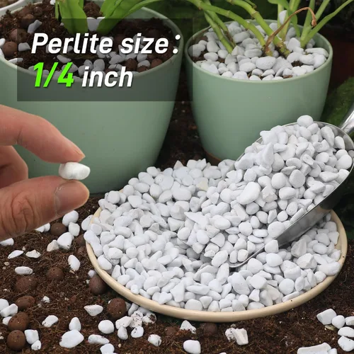 Miniatura 2 de Perlita gruesa de 3 cuartos de galón para enmienda del suelo de plantas para macetas, mejora el drenaje y la aireación del suelo, ideal