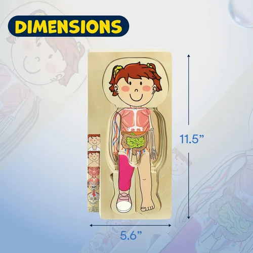 Miniatura 3 de Kidzlane Rompecabezas de Madera de 29 Piezas para Niños Pequeños y Niños - Juego de Rompecabezas de Anatomía de Niño - Rompecabezas de Anatomía
