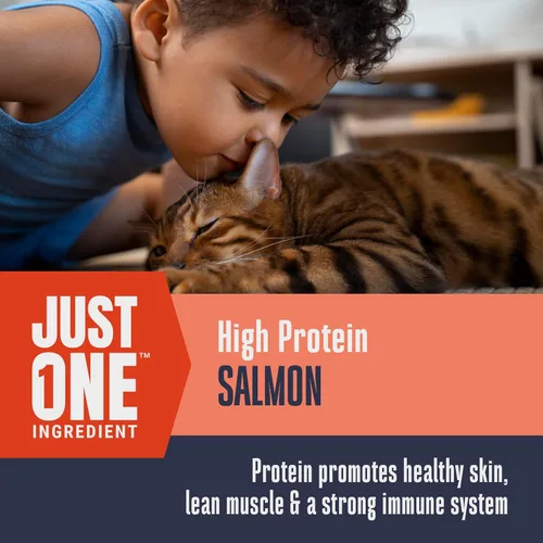 Miniatura 4 de Whole Life Cat Just One Salmon - Golosinas liofilizadas de salmón para gatos, alimento de grado humano alto en proteínas, aperitivos