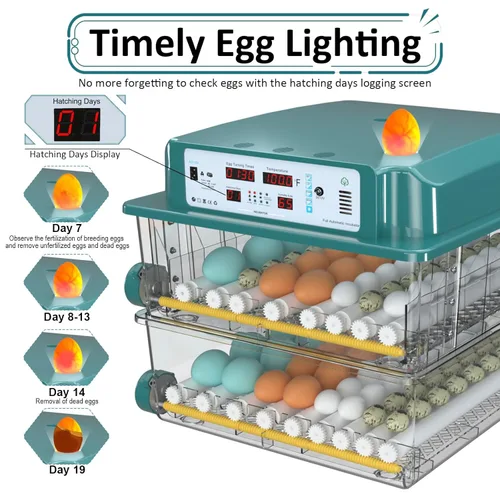 Miniatura 7 de Incubadoras para incubar huevos 120, incubadora de huevos de gallina con giro automático de huevos y pantalla de humedad, control de temperatura