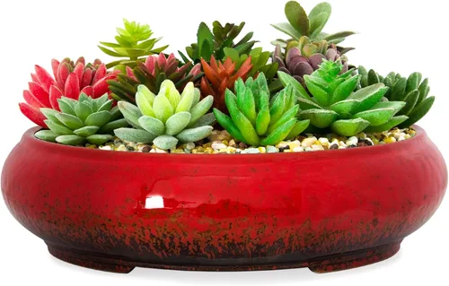 ARTKETTY Macetas de bonsái de cerámica para suculentas de 11.5 pulgadas con drenaje, macetas suculentas grandes y poco profundas para plantas de Rojo