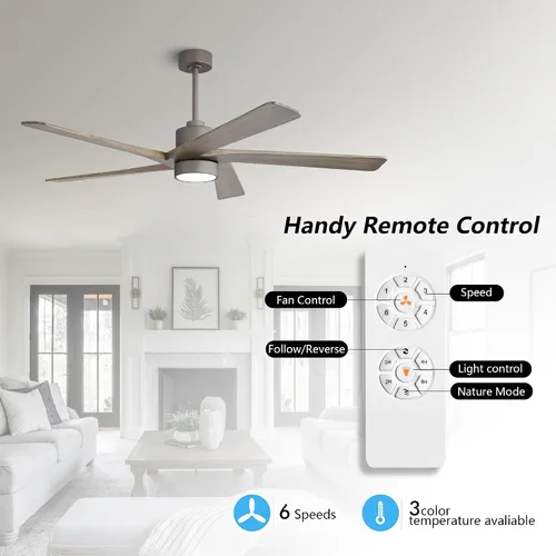 Miniatura 2 de WINGBO - Ventilador de techo DC de 64 pulgadas con luces y control remoto, 5 aspas reversibles de madera tallada, motor DC silencioso de 6 Grafito