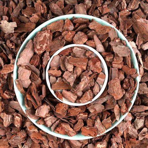 Miniatura 10 de AVALUTION Corteza para macetas de orquídeas: corteza de orquídea orgánica de 3 cuartos para plantas, todos los chips de madera de corteza de pino