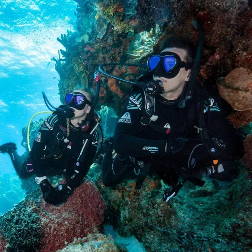 Miniatura 2 de TUSA SP-0101 Hyperdry Elite II - Tubo de snorkel para buceo Scuba