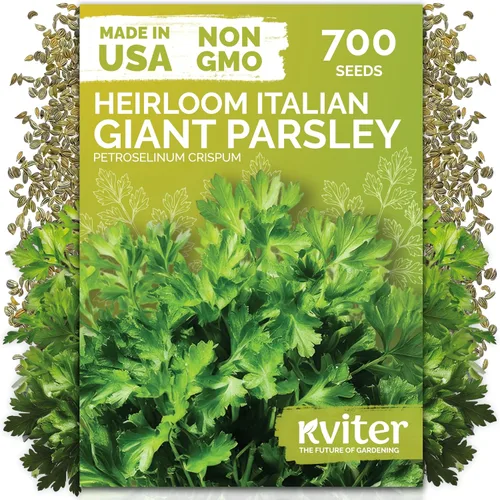 Miniatura 10 de KVITER 1000 semillas de quinua de cordero (Chenopodium Album) - Hierbas comestibles autóctonas, ideales para jardines de hierbas orgánicas