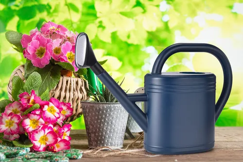 Miniatura 7 de Regadera de 1 galón para jardín, plantas de interior, plantas de exterior, flores de casa, pico largo grande con cabezal rociador (gris)