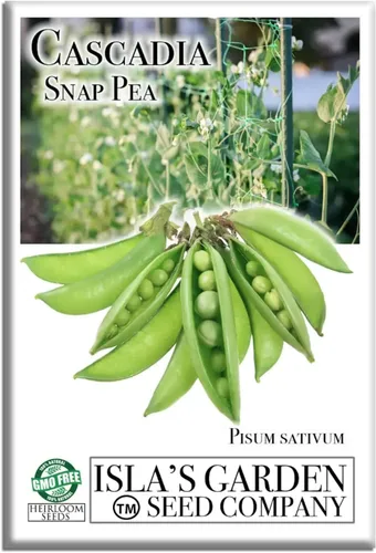 Cultiva crujientes y dulces guisantes cascadia: más de 50 semillas de reliquia sin OMG de Isla's Garden Seeds, cápsulas tiernas para aperitivos,