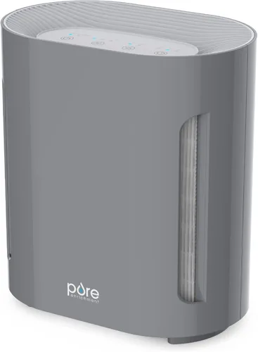 Pure Enrichment PureZone - Purificador de aire para dormitorio y sala de estar, filtración de 4 etapas y luz UV-C, el filtro HEPA H13 ayuda a Gris