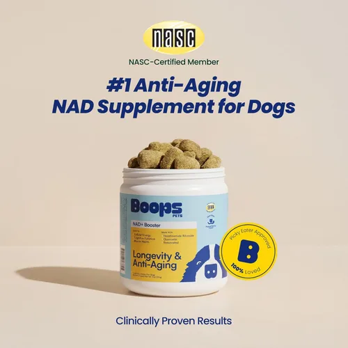 Miniatura 2 de Suplemento precursor y para perros mayores NAD+ - 90 masticables suaves - Alternativa NMN para la longevidad y el envejecimiento saludable