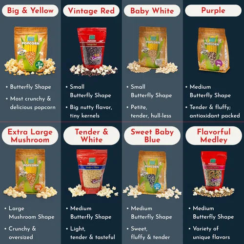 Miniatura 8 de Palomitas de maíz extra grandes en forma de hongo - Wabash Valley Farms, palomitas de maíz grandes en forma de hongo para reventar, granos