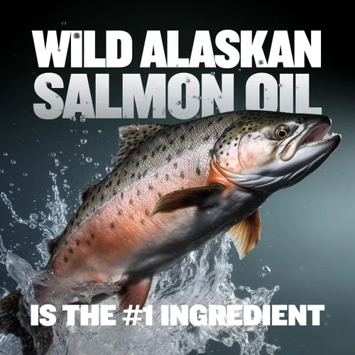 Miniatura 4 de Bully Max Ganador de peso para perros 2400 Cal – Suplemento líquido alto en calorías para perros con omega-3 y proteína de suero – Apoyo