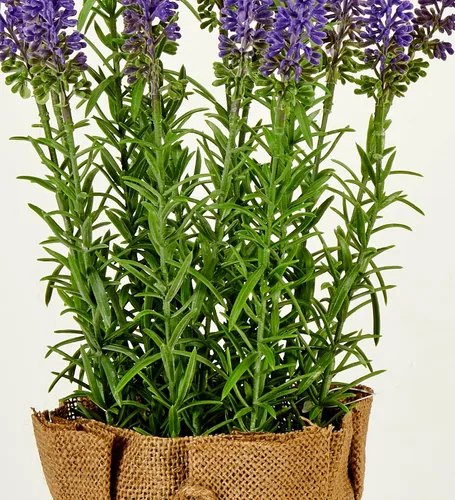 Miniatura 3 de Worth Imports Lavanda artificial de 16" en un recipiente de saco de arpillera