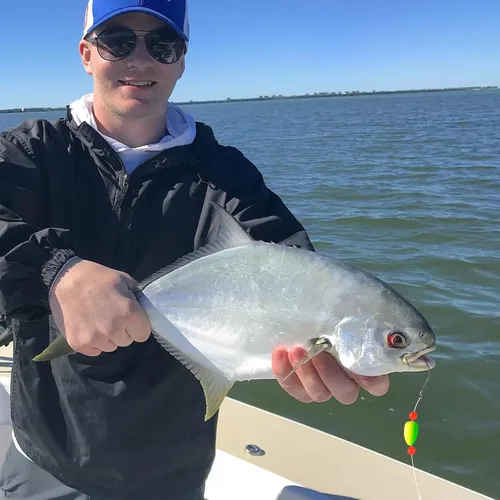 Miniatura 7 de Alwonder Paquete de 5 aparejos de pesca Pompano con flotadores Snell, aparejo giratorio de cebo vivo de agua salada, broches de presión de doble