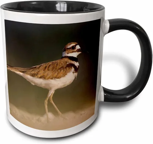 Miniatura 18 de 3dRose, Taza negra bicolor de 11 oz, negro/blanco