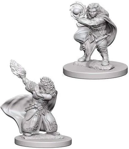 Miniatura 3 de D&D NMU: Paladín macho enano W4