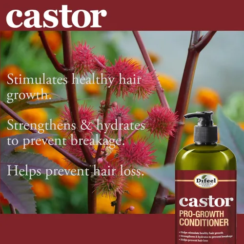 Miniatura 2 de Difeel Acondicionador Castor Pro-Growth 12 oz.