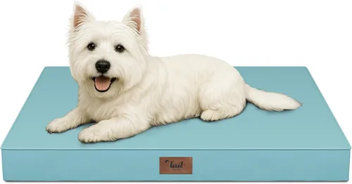 Miniatura 30 de Cama ortopédica de felpa para perros y cachorros medianos, camas impermeables para perros de 30 x 20 pulgadas con funda extraíble lavable, tapete