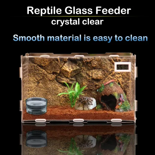 Miniatura 2 de Tazón de vidrio para alimentación de reptiles, 4 unidades, plato de agua para lagarto, araña, maíz, serpiente, ciempiés, escorpión, grillos pequeños