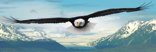Miniatura 2 de EuroGraphics Eagle Panoramic 1000pc