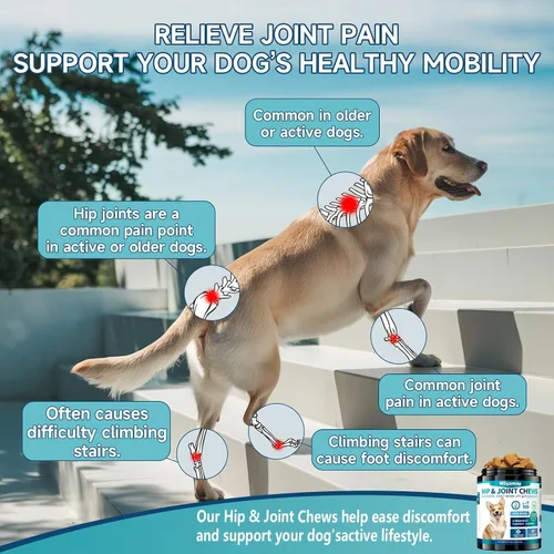 Miniatura 2 de Glucosamina para perros, 200 unidades de suplemento de cadera y articulaciones de perro con MSM, condroitina, vitaminas C y E, suplemento